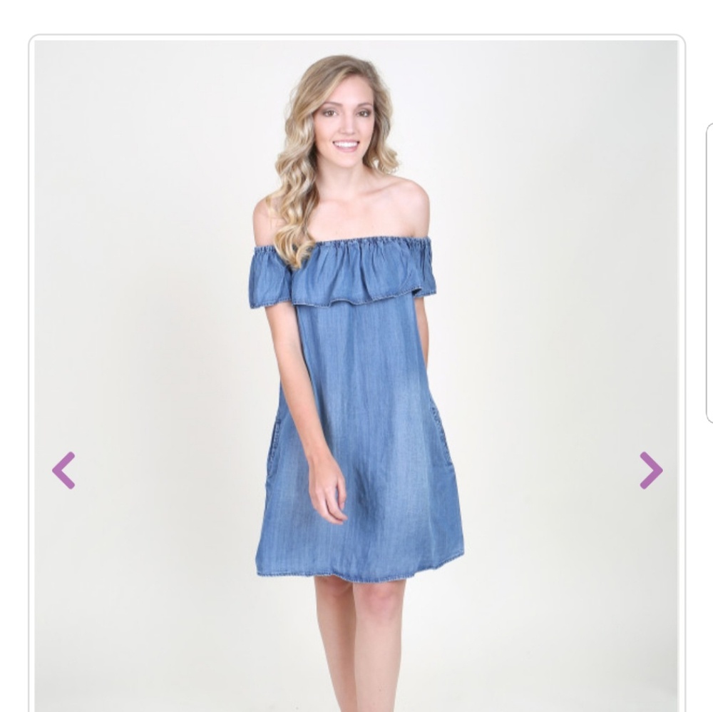 NWT Altar'd State size small denim dress